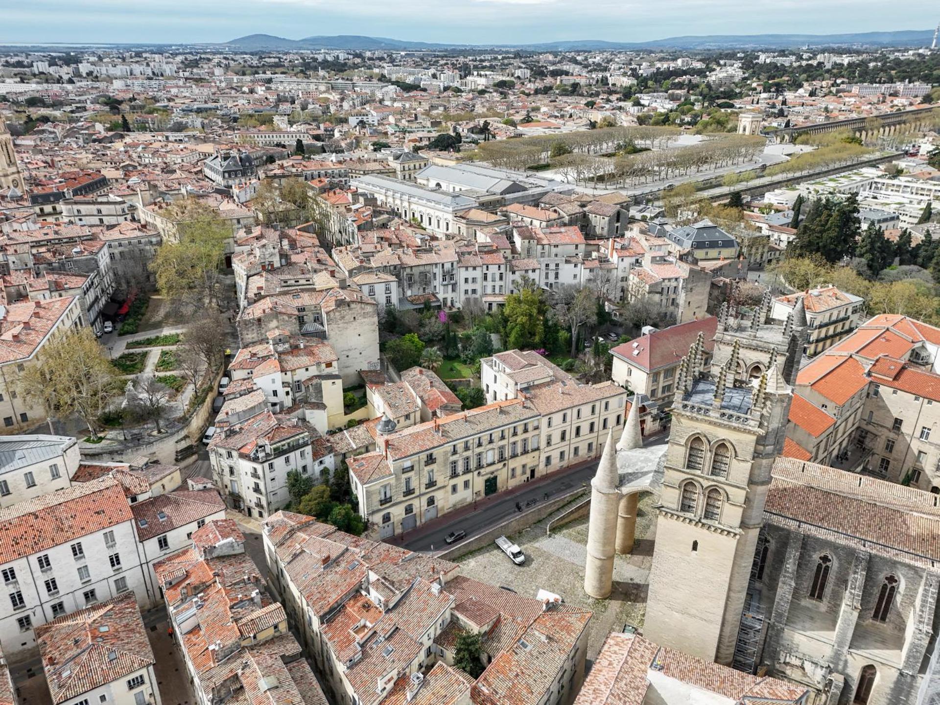 La Terrasse, Vue Sur Les Toits De Montpellier Daire Dış mekan fotoğraf